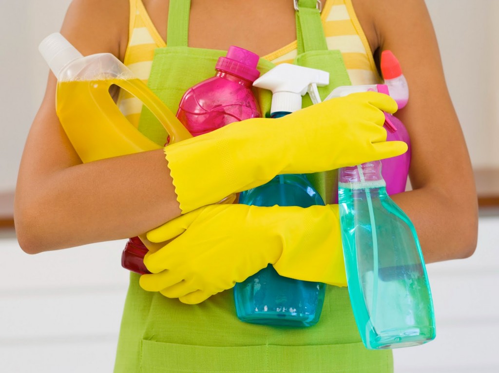 quick-tips-for-cleaning-day-ltd-commodities