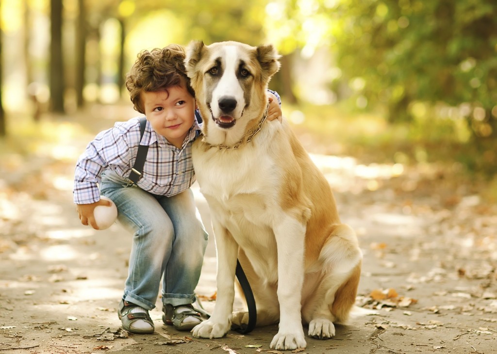 boy-with-dog