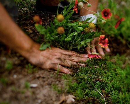 Is Gardening Moderate Exercise