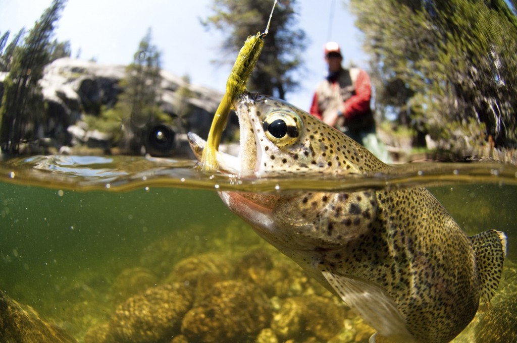 Fly-Fishing