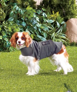 AKC Calmcoat is the easy-to-wear anti-anxiety and calming coat for your dog. 