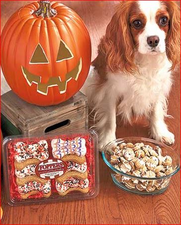 halloween-dog-treats