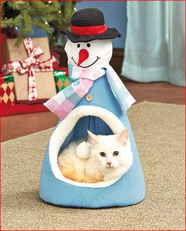 CAt-Holiday-Pet-House