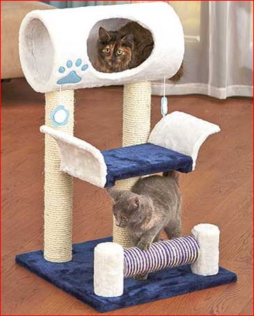 cat-tunnel-tower