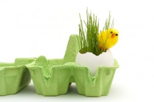 Eggshell-planter