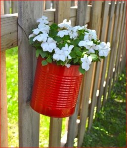 coffee-can-garden