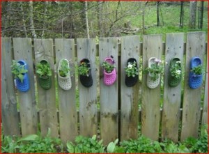 croc-container-garden