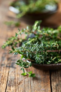 thyme