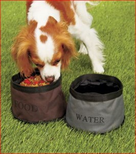 Travel-pet-bowls