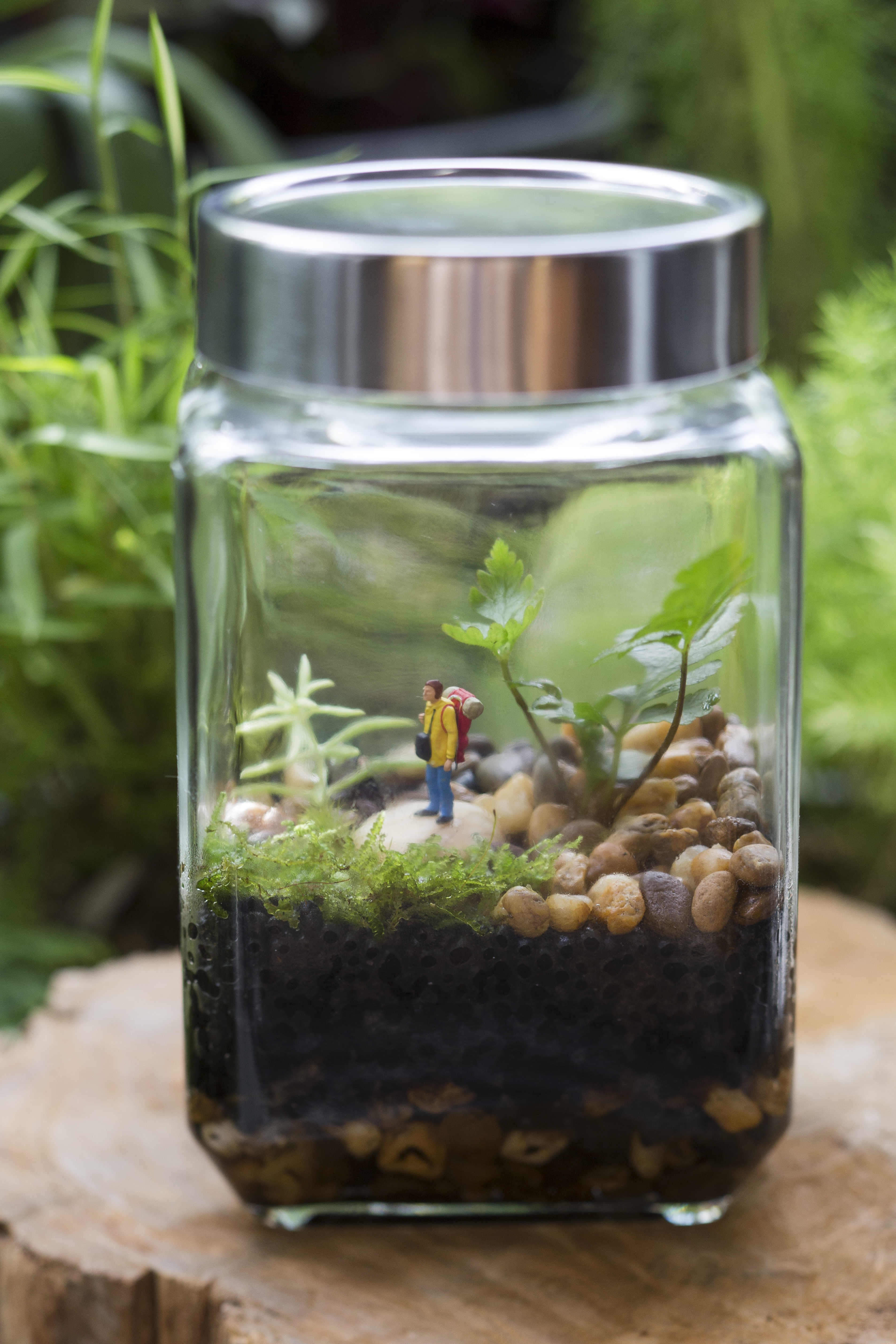 terrarium