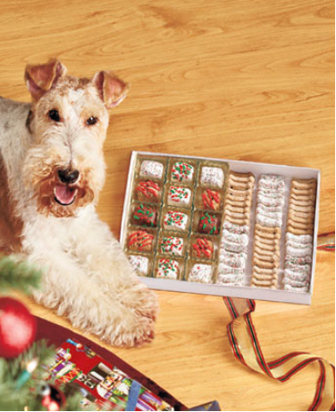 75-piece-gourmet-dog-treat-gift-box