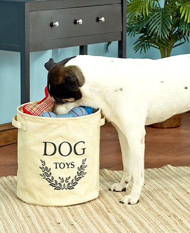 dog-toy-storage-buckets