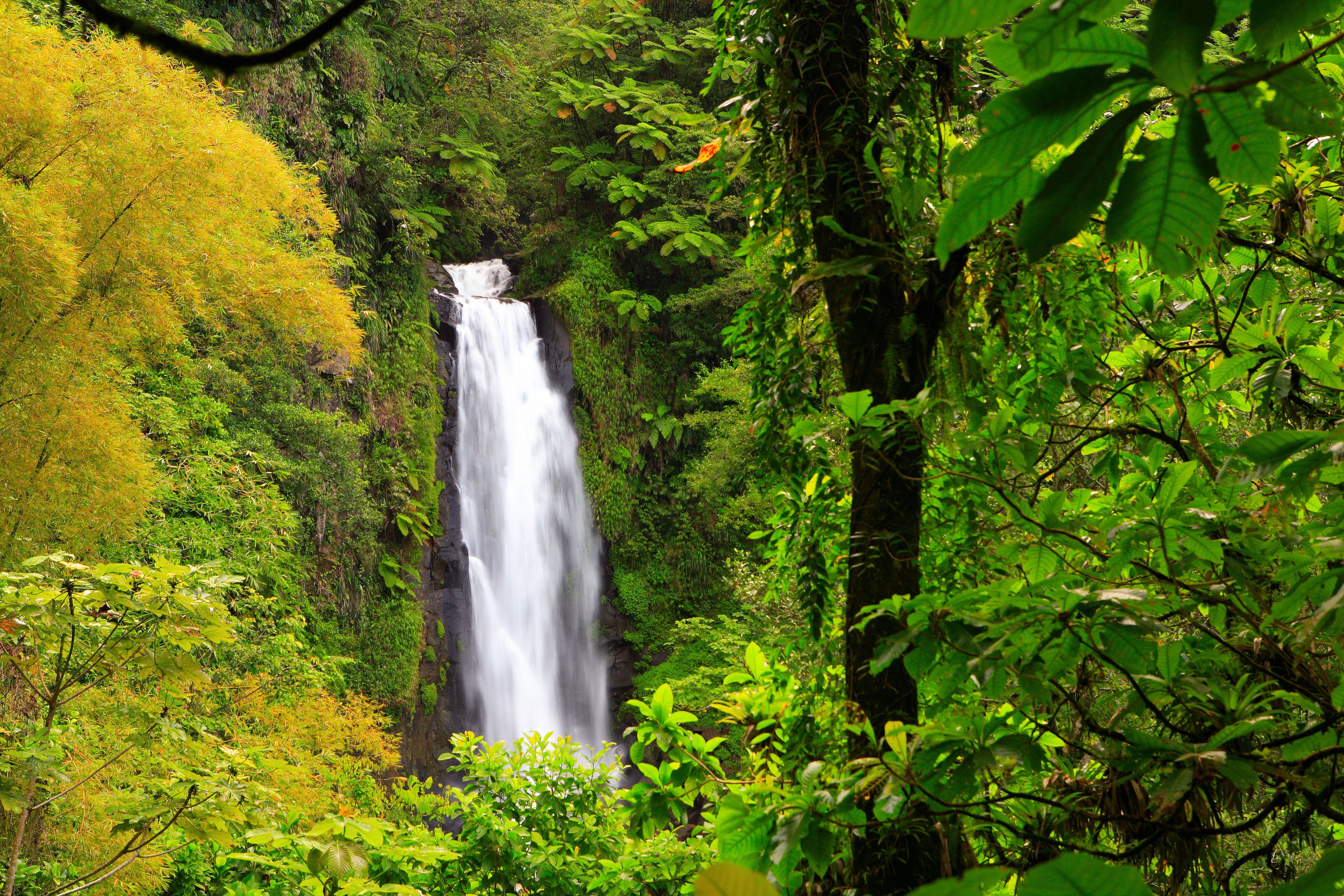 Waterfall in Dominica