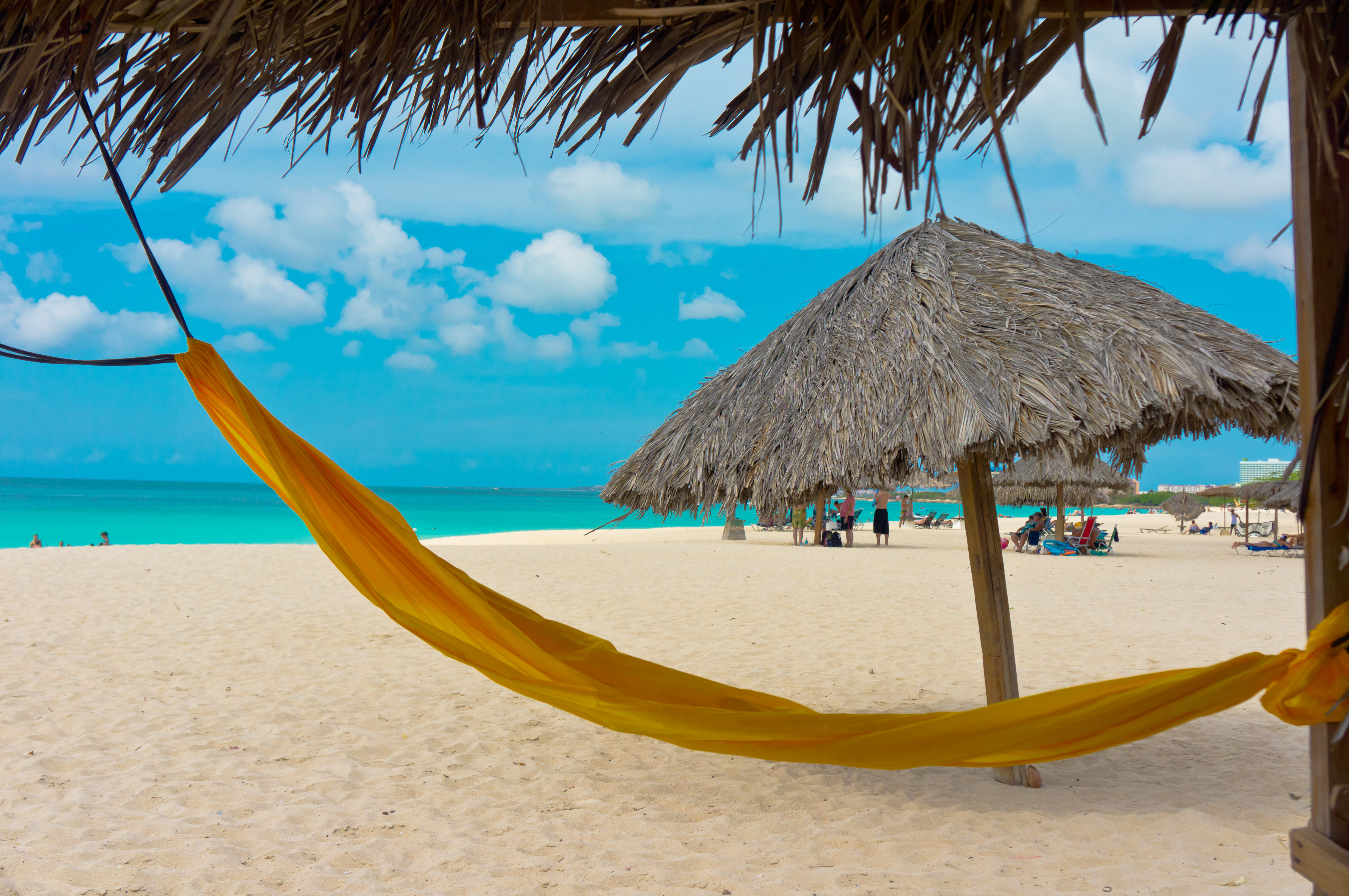 Hammock Hanging on a Beach in Aruba