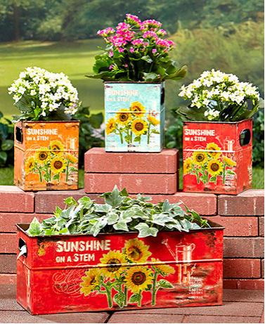 Garden Decorations - Set of 4 Sunflower Planters