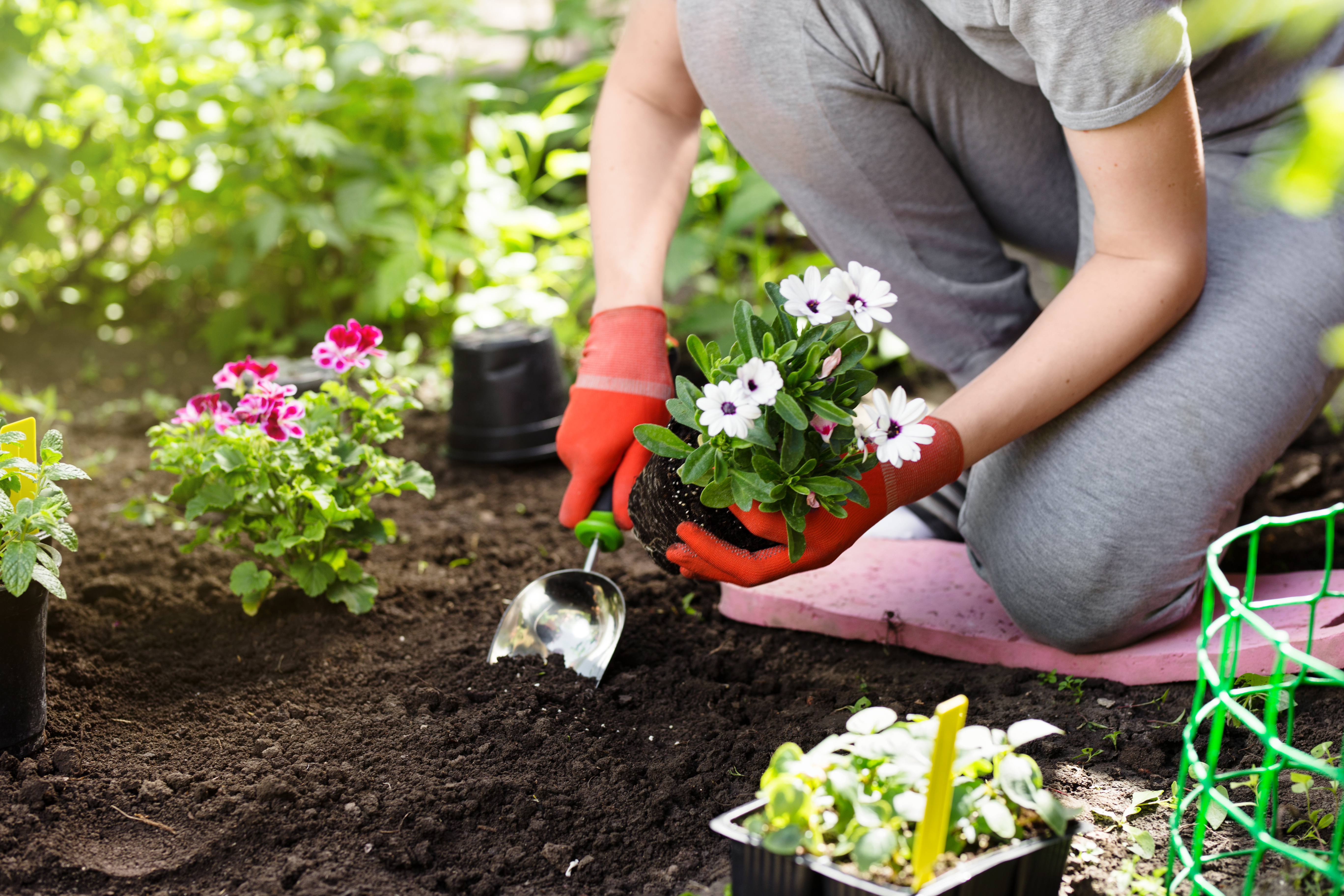 Get Your Garden Ready for Spring - LTD Gardening Tips