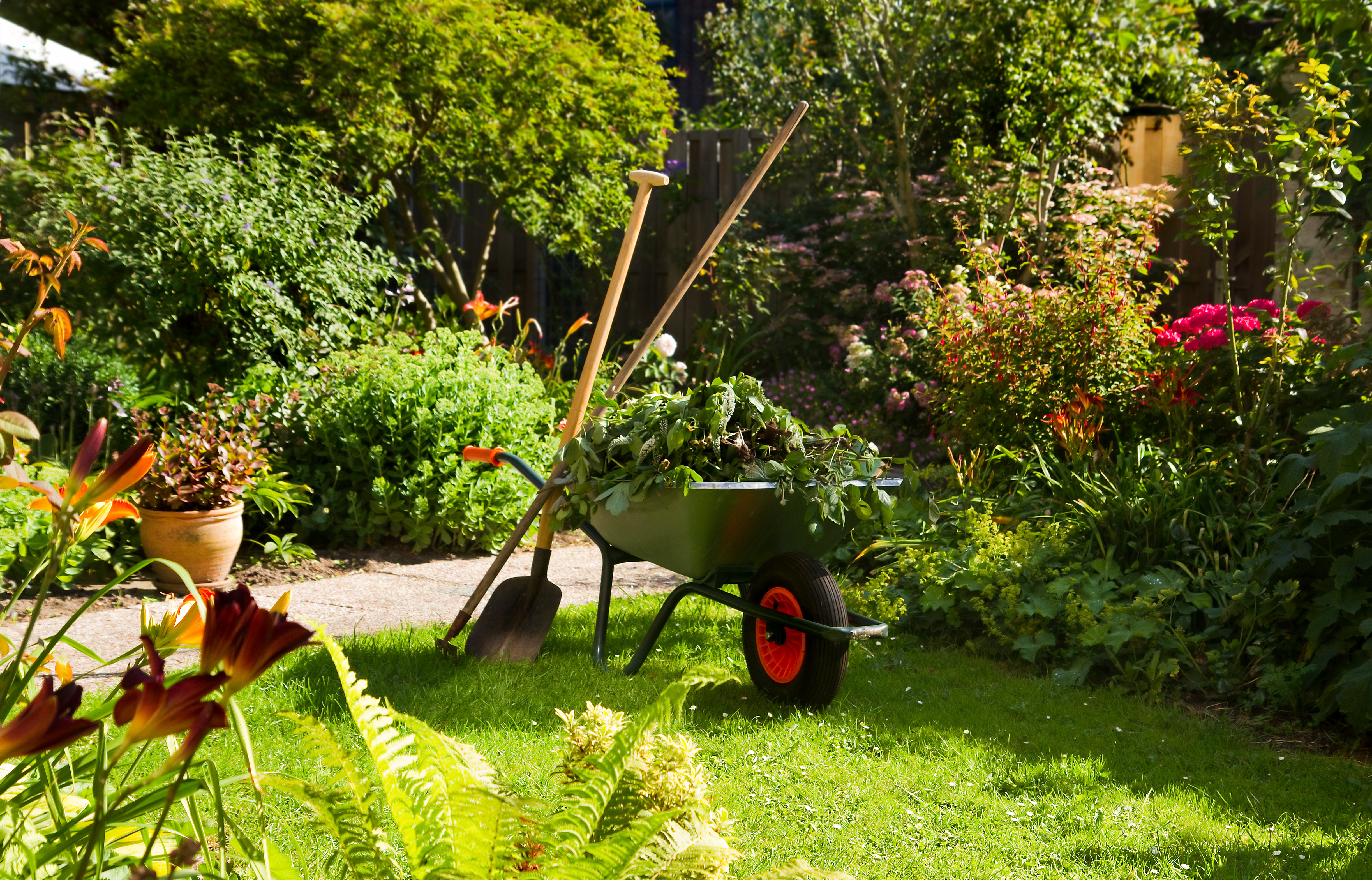 Working with wheelbarrow in the garden