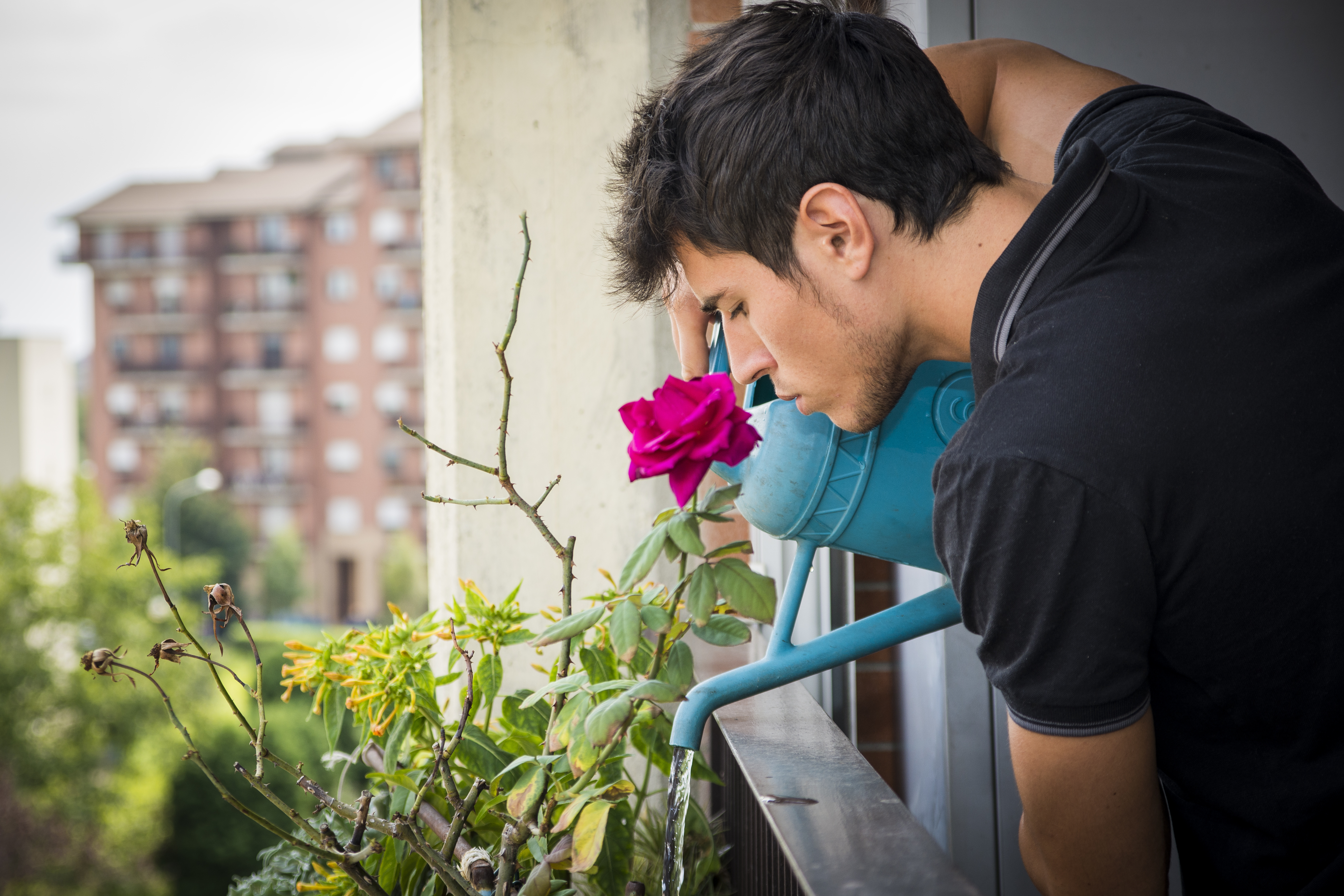 young-man-watering-plants-on-balcony