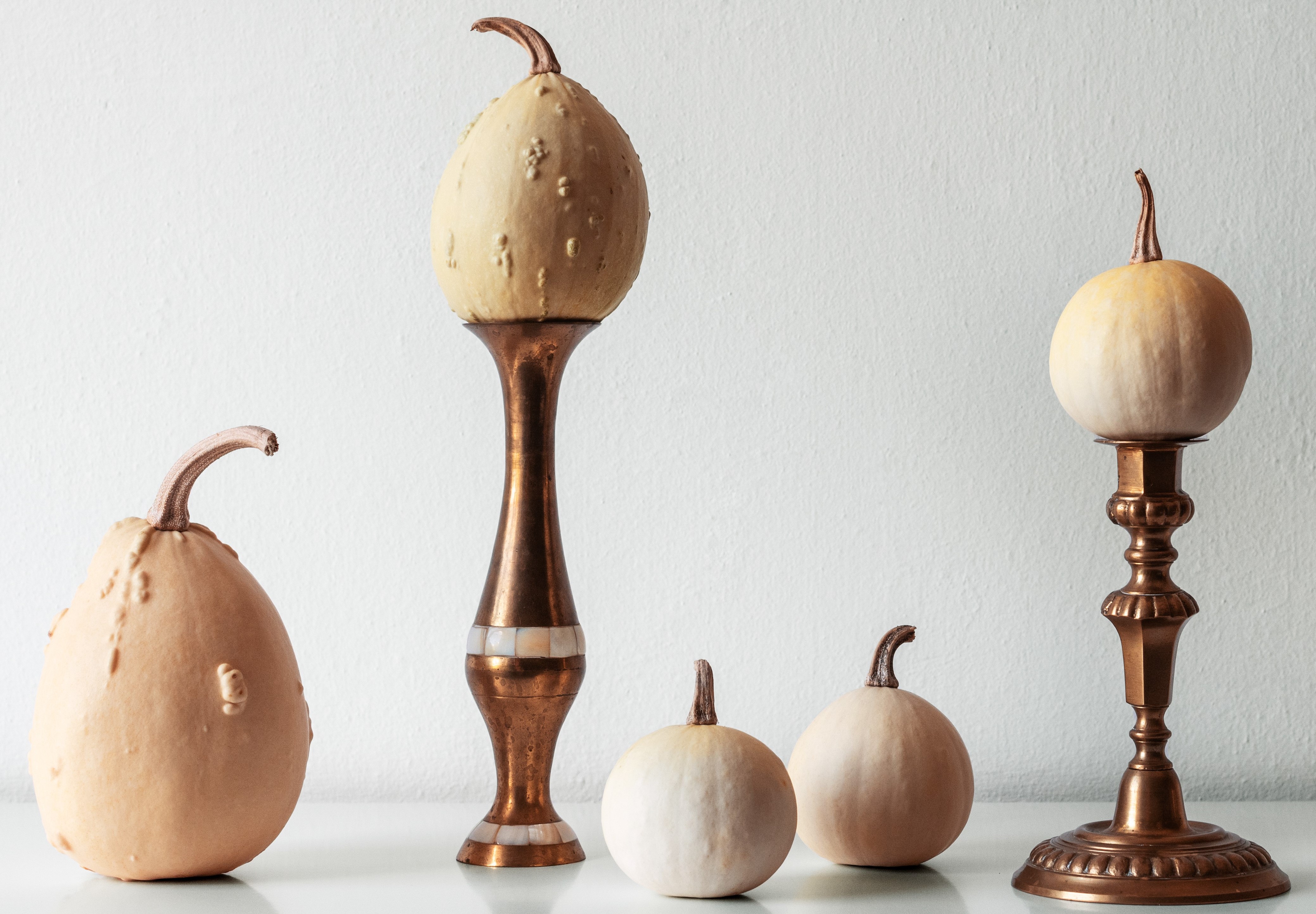 Thanksgiving decoration. Minimal autumn inspired room decoration. Selection of various pumpkins on white shelf against white wall.