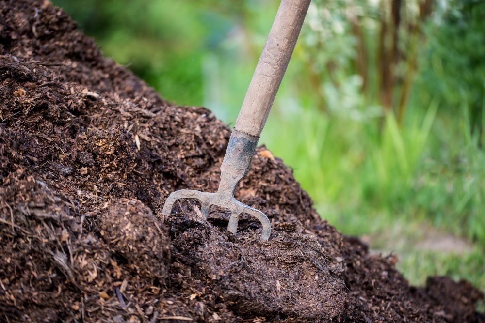 Mulch In Garden