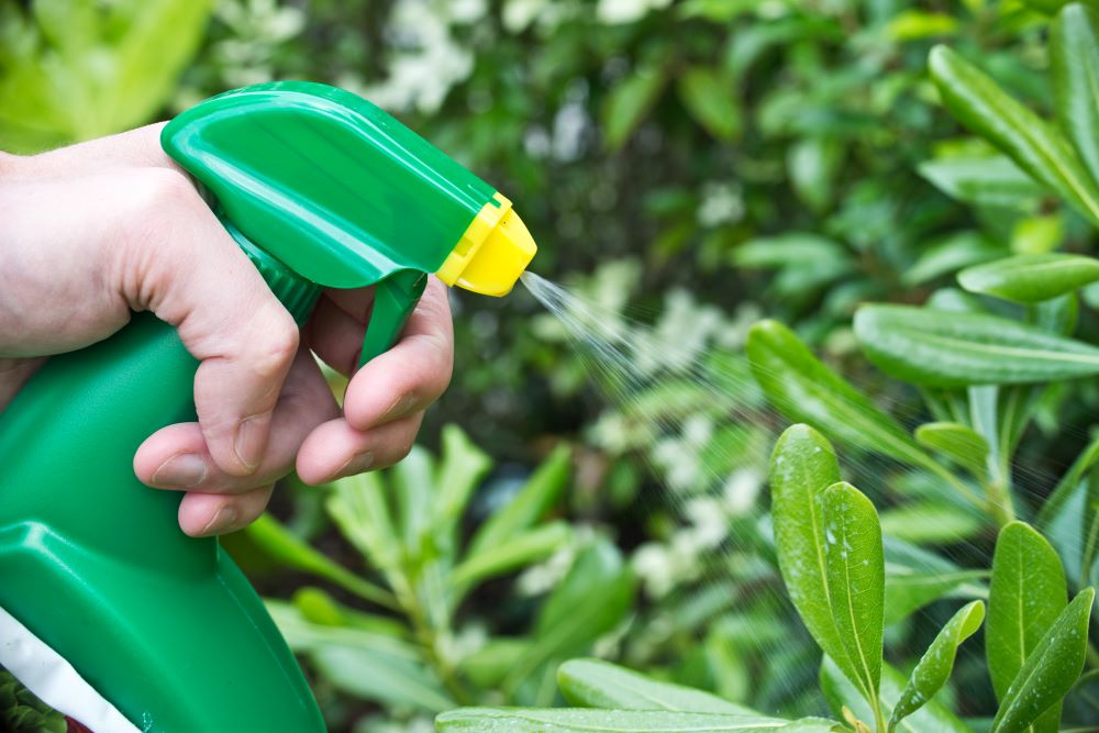 How To Keep Pests Out Of The Garden | LTD Commodities