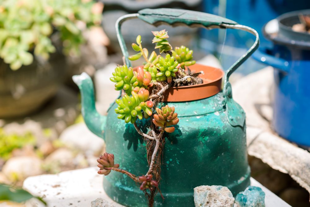 DIY Tea Kettle Planter