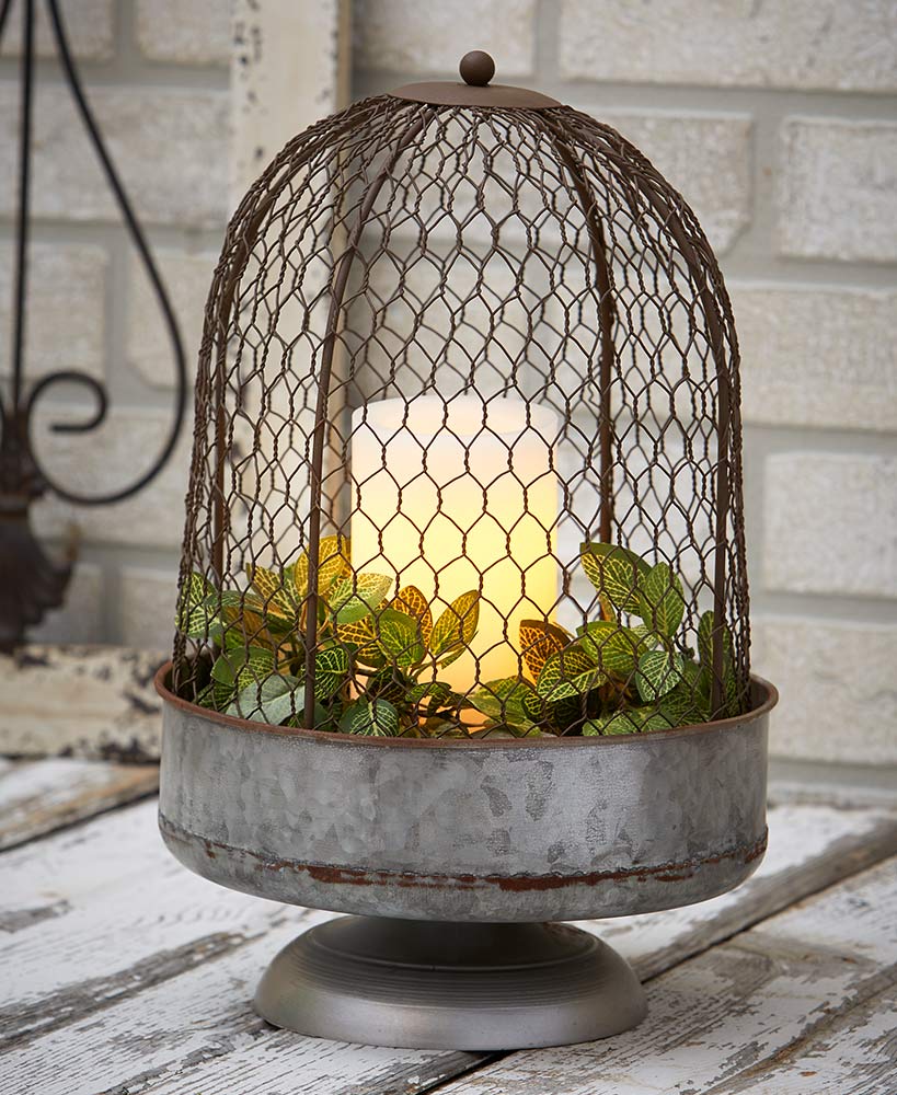 Chicken Wire Cloche