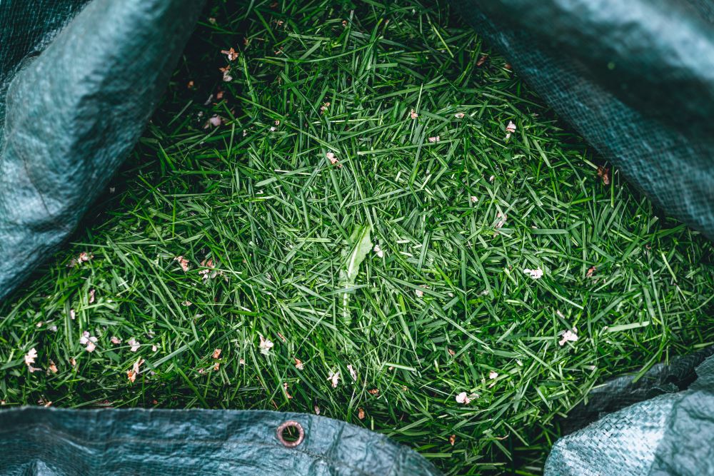 Use Lawn Clippings As Mulch