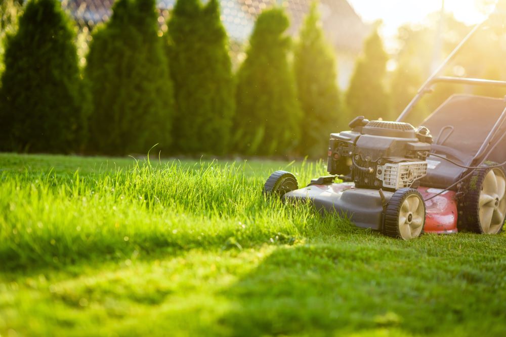 Mowing Summer Grass