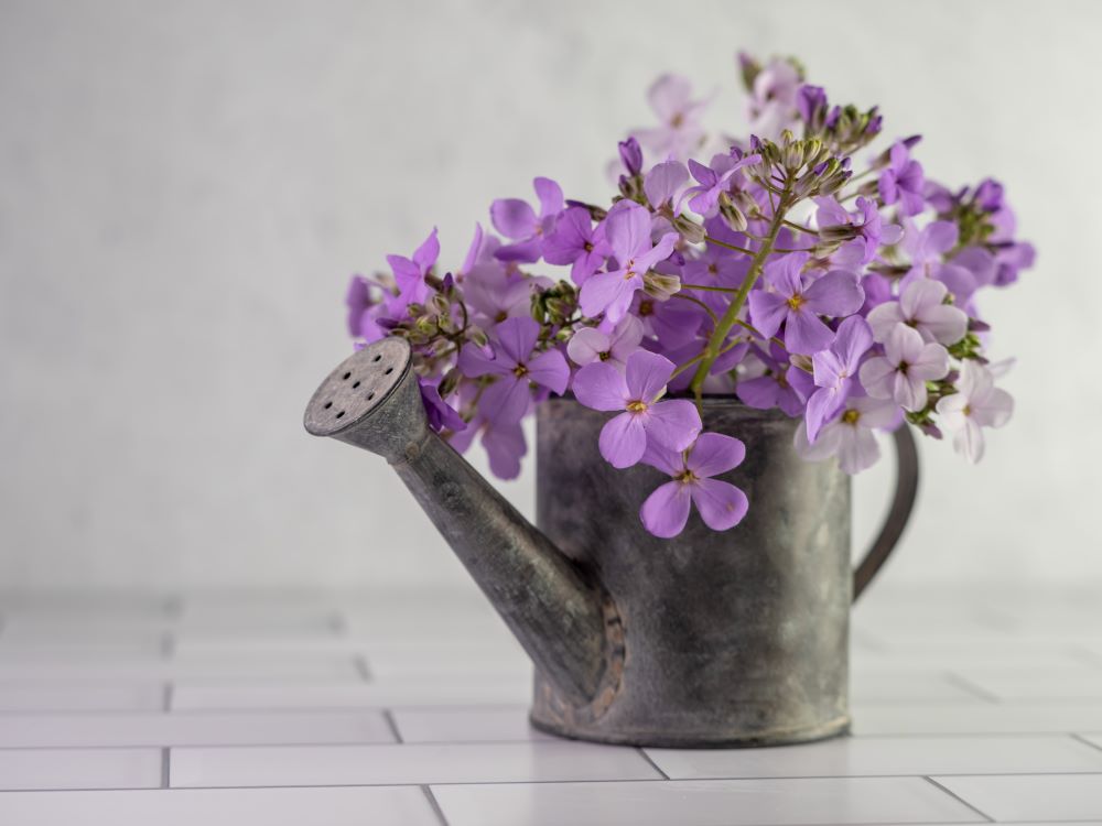 Vintage Flower Vase