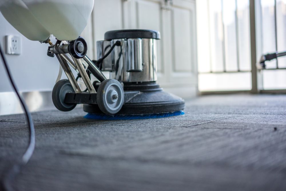 Fall Home Improvement Projects - Deep Cleaning The Carpet