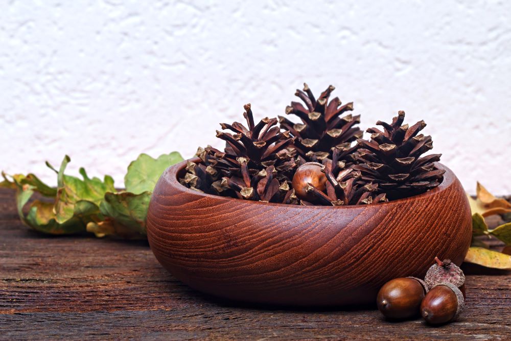 Decorate With Nature And Pine Cones