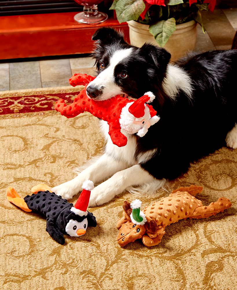 Holiday Skinneeez Extreme™ Dog Toys