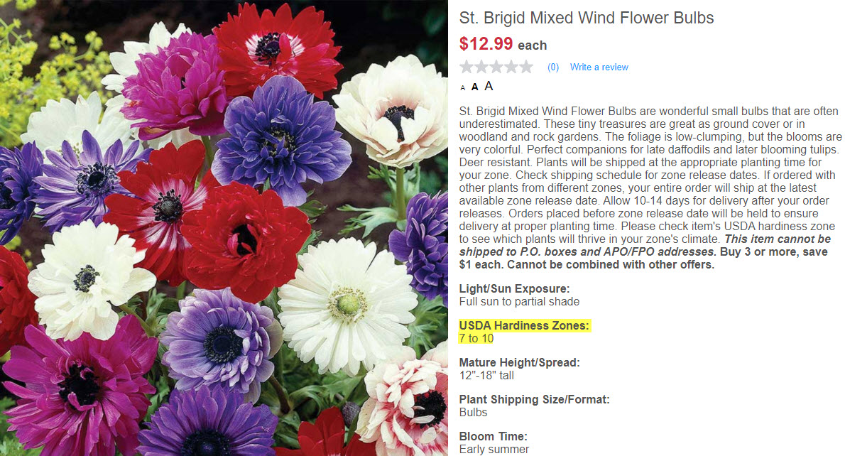 Mixed Wind Flower Bulbs