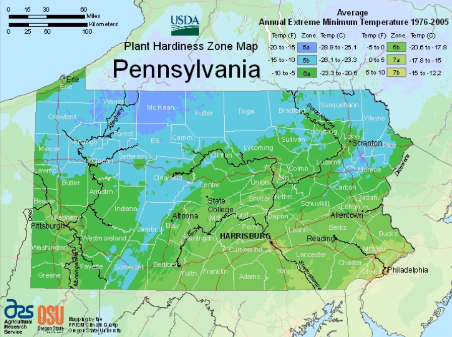Pennsylvania Hardiness Zone