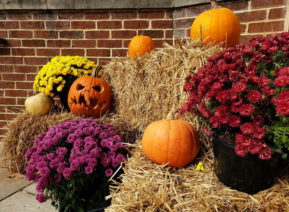 Fall Porch Ideas - hay bale pumpkin display