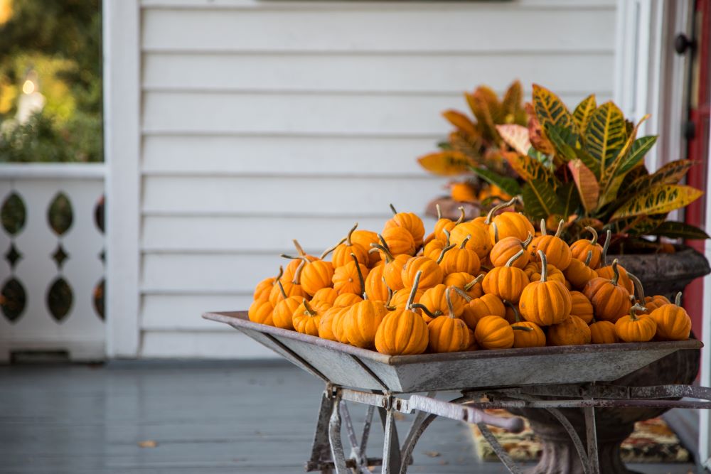 Fall Porch Ideas - pile of pumpkins in wheelbarrow